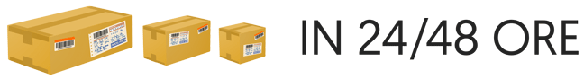 spedizioni rapide